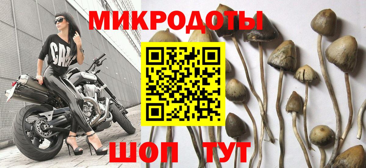 как найти наркотики  Галлюциногенные грибы мицелий  Вход с VPN  Луга 