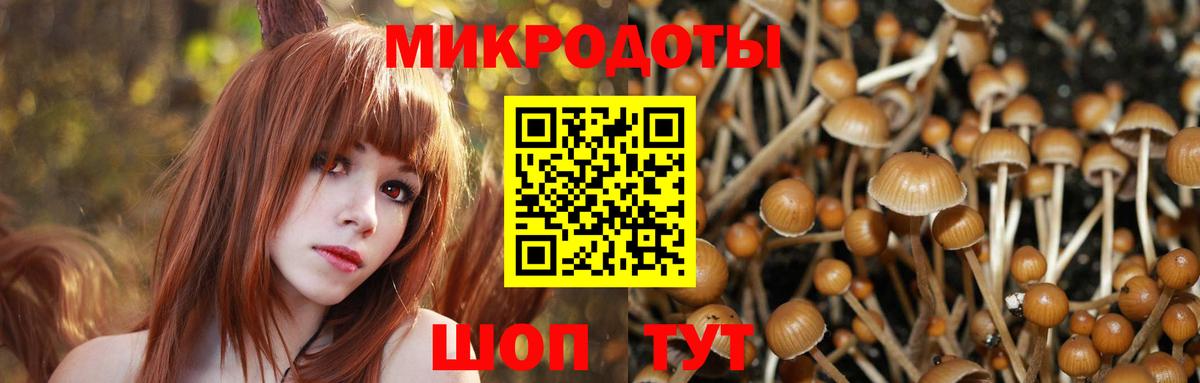Галлюциногенные грибы Psilocybe Луга