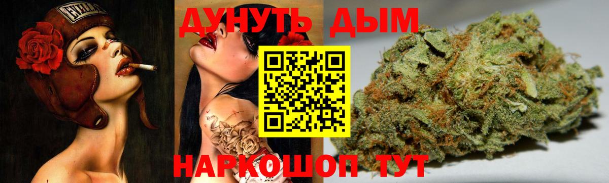 Канабис OG Kush Луга